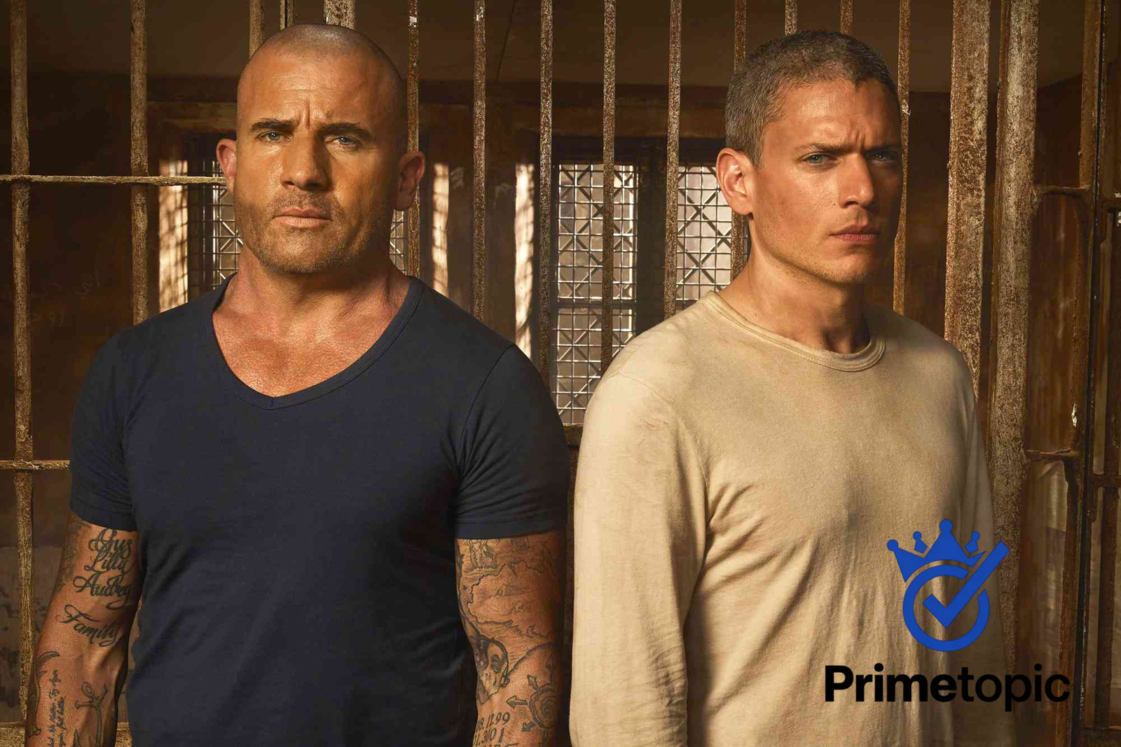 dominic purcell movies and tv shows